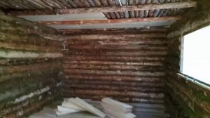 Кто увидит - ОФИГЕЕТ! Самый уютный лес. Строю ИЗБУ в ЛЕСУ. Голова дырявая. DIY.