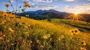 Заграничные конверты