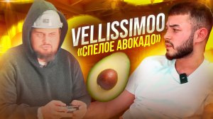 Скетч-шоу VELLISSIMOO «Спелое авокадо»
