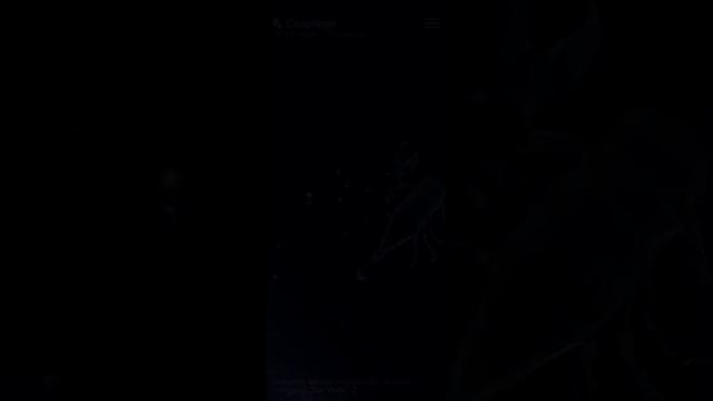 ?12 Созвездий Зодиакального круга ✨️