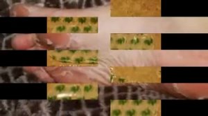 Отшелушивающие носки для ног SKINLITE (размер 35-40)