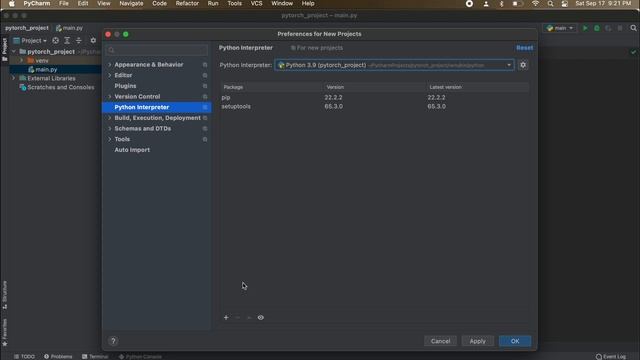 How To Install PyTorch in PyCharm