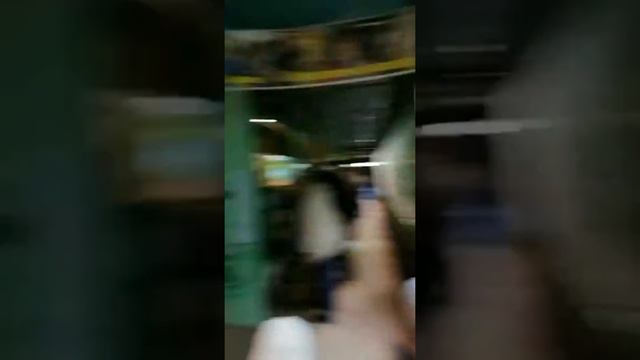 Зоопарк в Омске * Не жизнь а малина 4.05 смотреть онлайн