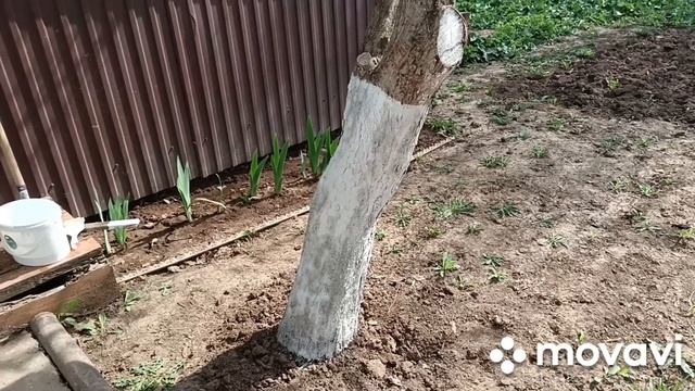 РАССКАЗЫВАЮ КУДА Я УЕЗЖАЮ КУПИЛА БИЛЕТЫ ОБЗОР ПОКУПКИ НИЖНЕГО БЕЛЬЯ УРАБОТАЛИСЬ С КРИСТИНОЙ