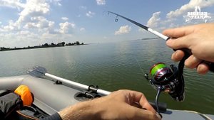 Спиннинг Daiwa Silver Creek (новая модель). Обзор и проверка судаком)