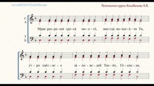 Глас 4, песнь 5, ирмос: "Мрак разреши греха"