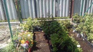 Бизнес с окупается за 1 месяц. Садовый центр " Росток" Горно-Алтайск