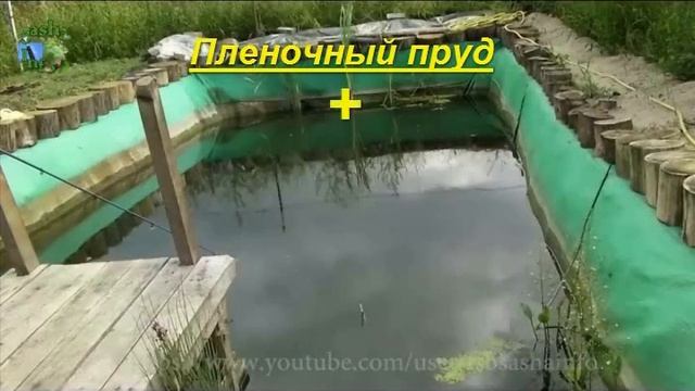Виды прудов для разведения рыбы, плюсы и минусы, стоимость!