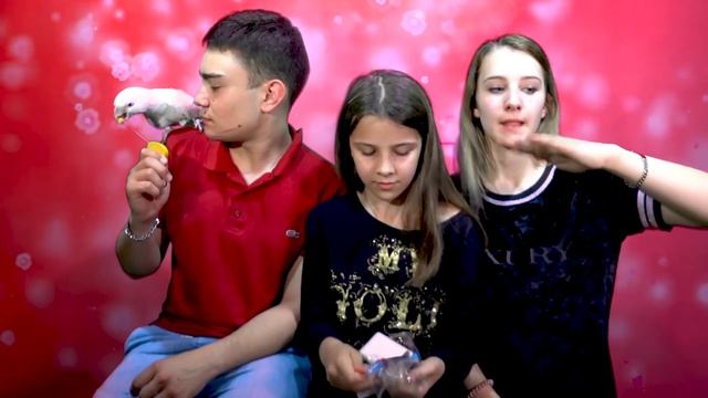 РАСПАКОВКА ТОВАРОВ ДЛЯ ПОПУГАЕВ / ТОП ДЕТСКИЙ КАНАЛ ЛИЗОНКЕТ