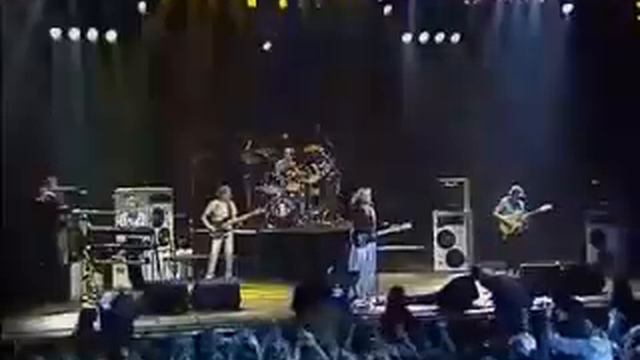 🐨 MEN AT WORK LIVE PERFORMANCE 🎵"DOWN UNDER"🎵 🐨 смотреть онлайн