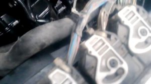 форд фокус 1.8 tdci не заводится