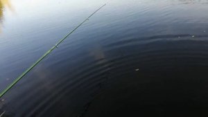 рыбалка на с.м. ХАМСУ ЛЕТОМ. на удочку.часть 2