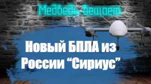 БПЛА "Сириус" скоро начнет поступать в войска России