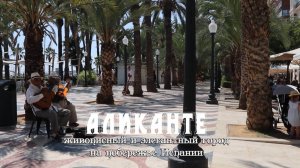 Аликанте-живопистный и элегантный город на побережье Испании