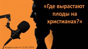 Бодрое утро 15.05 - «Где вырастают плоды на христианах?»