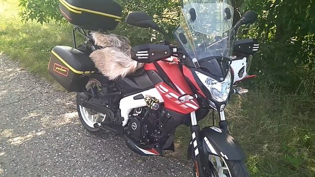 Почему Я,пересел с BAJAJ-BOXER-125X на PULSAR-NS200-NEW. смотреть онлайн