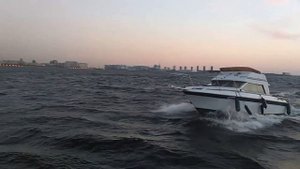 Bayliner 2556. Дизель Hyundai Seasall s250