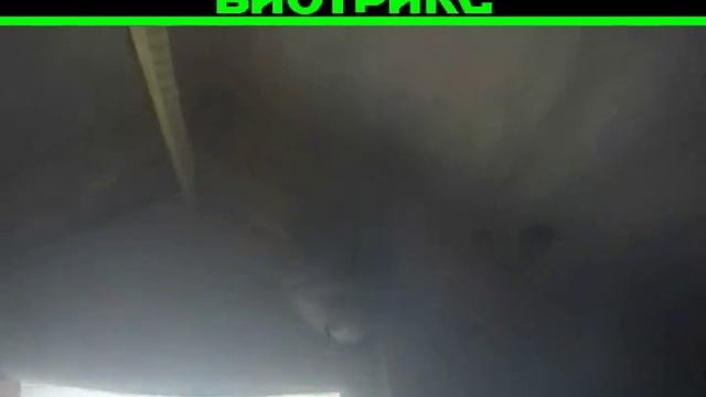 Уничтожение осиного гнезда смотреть онлайн