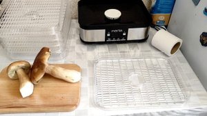 Сушим белые грибы, электрической  сушкой-конвектор  MARTA  .
