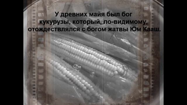Как варить кукурузу или кукуруза с сливочным маслом и черным перцем смотреть онлайн