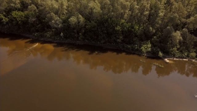 VRN nature. Дон в пос. Шилово смотреть онлайн