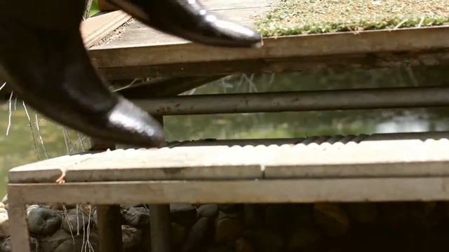 Динамичная прогулка Андрея и Анны смотреть онлайн