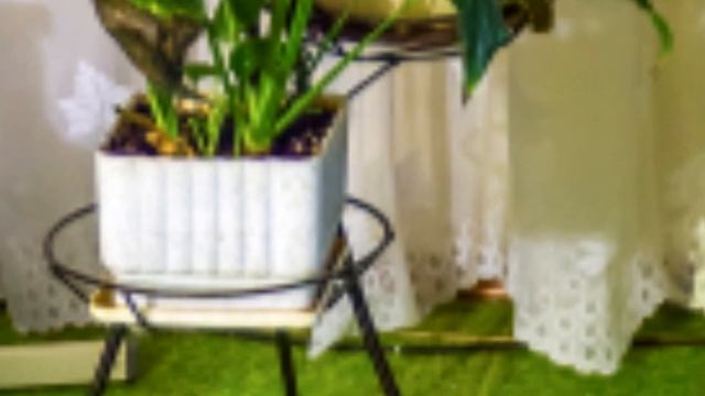 Панорама зала на 352 Мегапикселя [черновой вариант, завтра выложу чистовой идеальный вариант]
