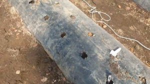 Перезагрузка бугров для земляники.