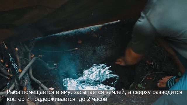 Запекание рыбы в яме. Как запечь 4-х килограммового змееголова целиком
