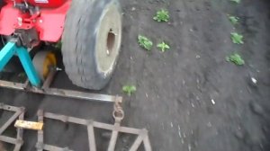 Боронуем огород мотоблоком.