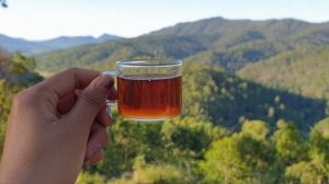 ПОЧЕМУ НЕЛЬЗЯ ОСТАВЛЯТЬ НЕДОПИТЫЙ ЧАЙ?! КАК ИЗБЕЖАТЬ ПРОБЛЕМ? Суеверия и приметы о чае.