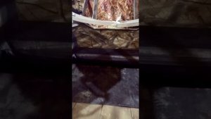 Аэролодка с двигателем субару еа 71