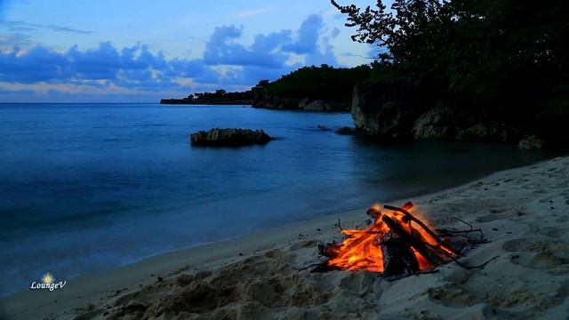 Cha Cha Cha смотреть онлайн