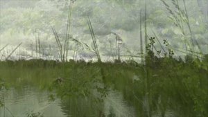 Народный ансамбль песни Калина (г.Самара)_Ой, калина