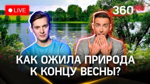 Метеострим 360: теплоход «Илья Репин» — круиз | Хохлов. Шубенков