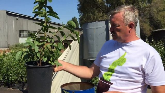 Места размещения контейнерного сада смотреть онлайн