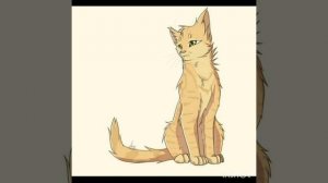 Топ 10 самых добрых котов воителей