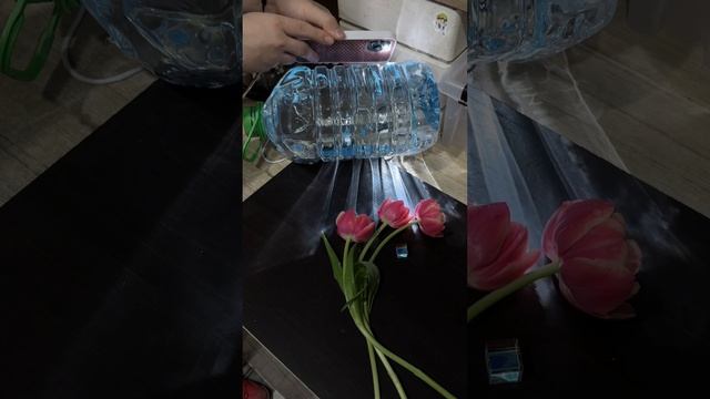 Как красиво снять цветы