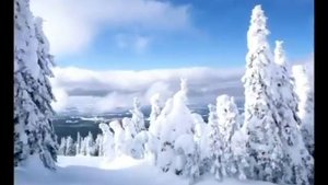 Дворовые песни - Белый снег летит