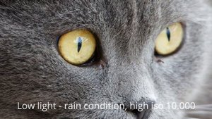 CANON RF 100-400MM F5.6-8 IS USM, EOS R6 high iso!