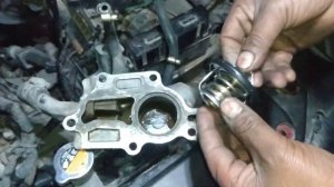 Cambio de termostatos Tiida