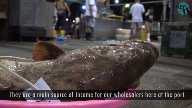 Heroes of the Night: Senoko Fishery Port смотреть онлайн