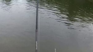 Рыбалка Новокузнецк