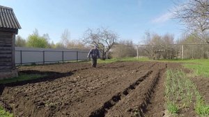 Делаем грядки.