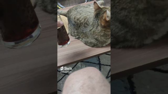 Лучший собутыльник