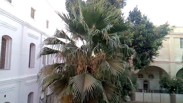 Царские палаты Эль-Мухаррак смотреть онлайн