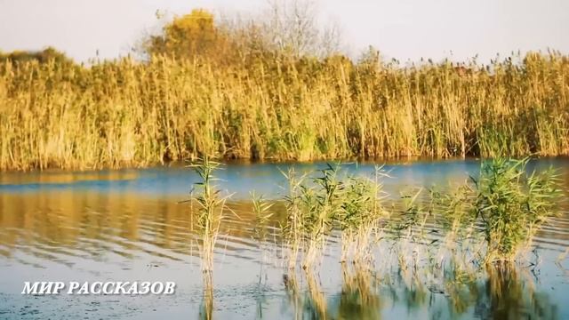 ПАПА ПОЕХАЛ В ПОЛИКЛИНИКУ И УЗНАЛ ВСЮ ПРАВДУ. ВЕРНУЛСЯ УЖАСНО ЗЛОЙ. КОГДА ВЕЧЕРОМ МАМА... смотреть онлайн