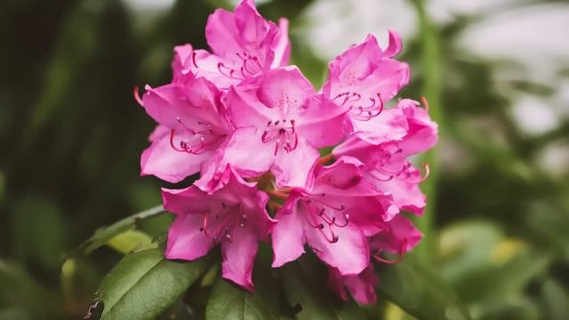 Муж бросил жену с маленьким ребёнком и ушёл к любовнице. А через время решил вернуться обратно. Но. смотреть онлайн