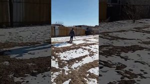 охота с мр 512