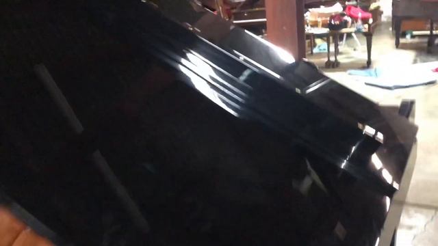 Yamaha Disklavier Test Player piano baby grand ebony gloss black смотреть онлайн